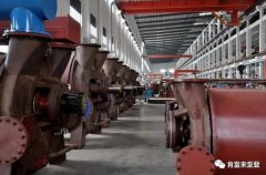 乐动在线-乐动在线(中国)被评为2019年度三水区骨干企业